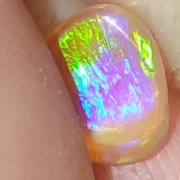 Meet your Posher, Joe - Picture 1 of 1